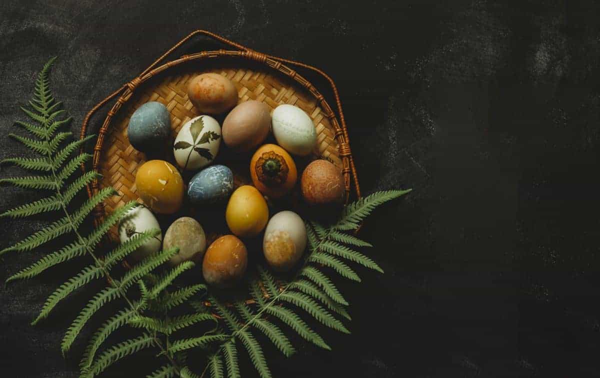 natural egg dyes from household and foraged materials
