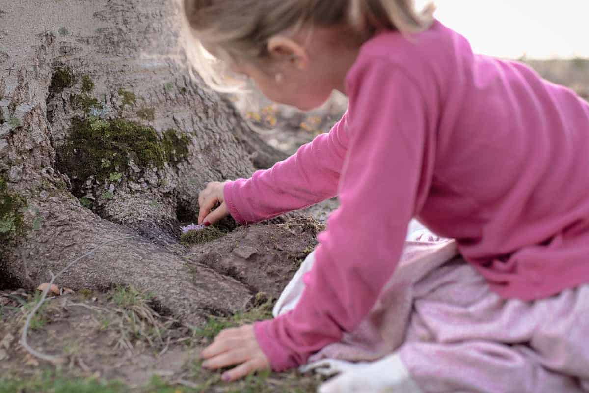 Creating Nature Fairy Garden