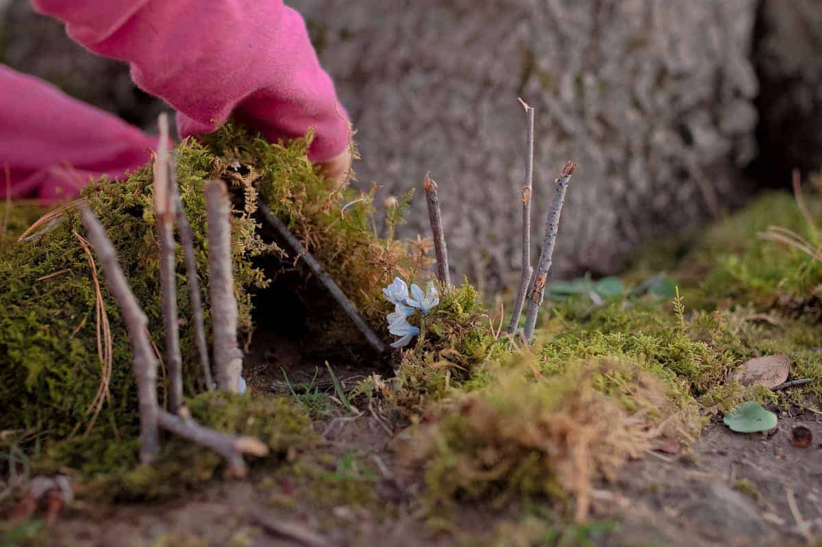 Creating Nature Fairy Garden 3