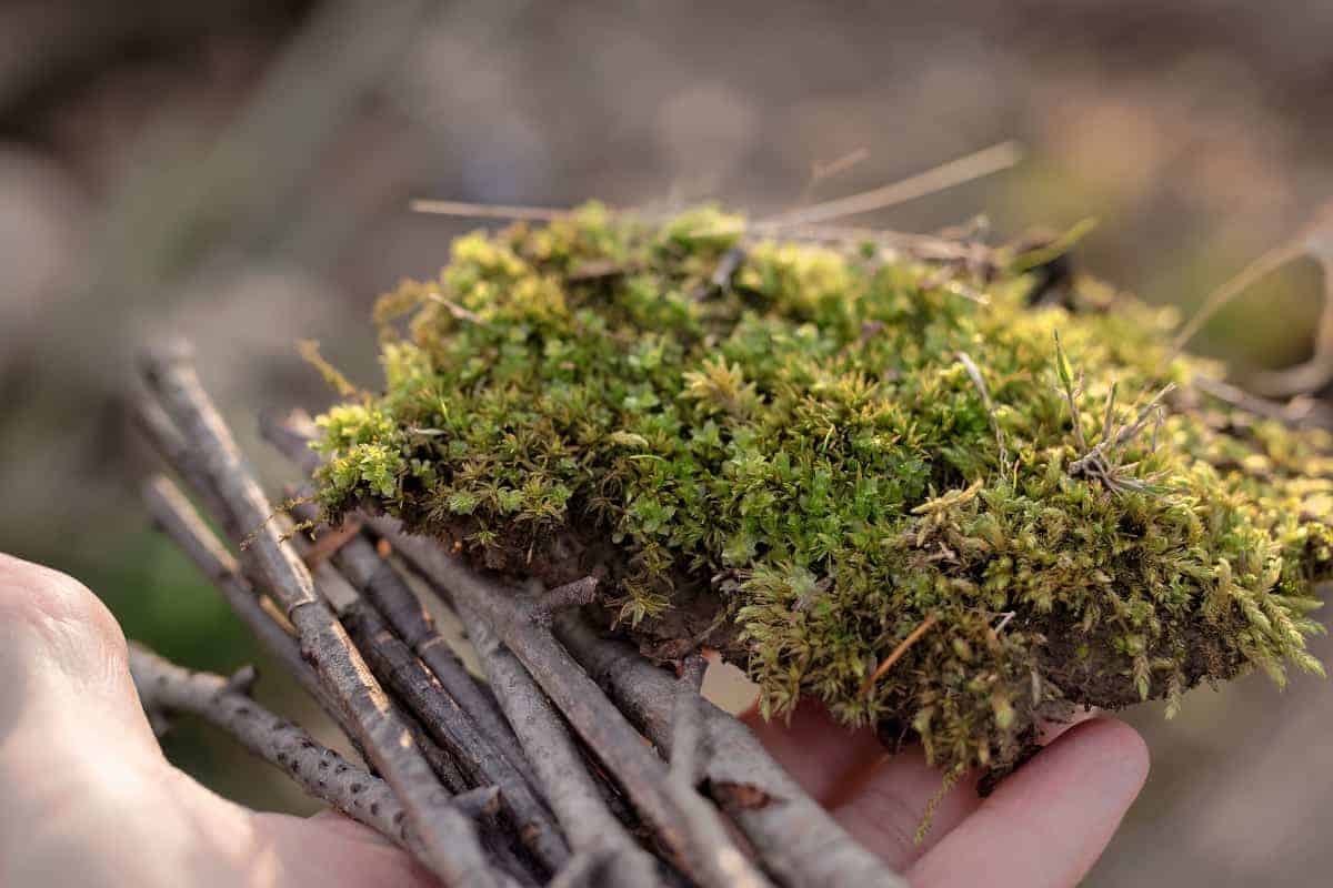 Nature Fairy Garden Materials