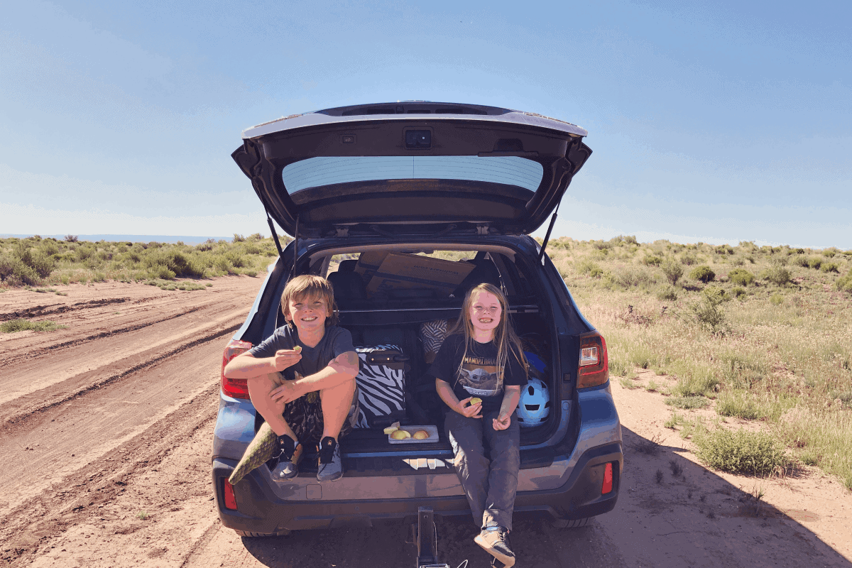 Tips and advice for a covid safe roadtrip with kids