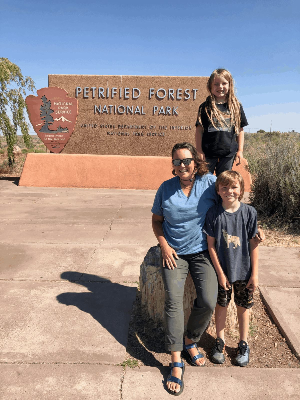 covid safe roadtrips with kids petrified forest national park