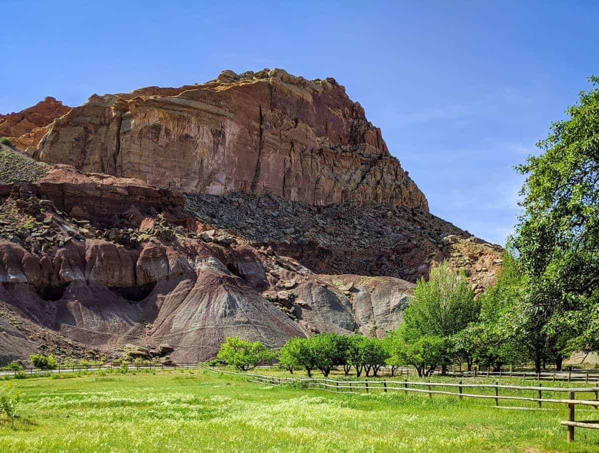 Orchards in Historic Fruita in Capitol Reef National Park