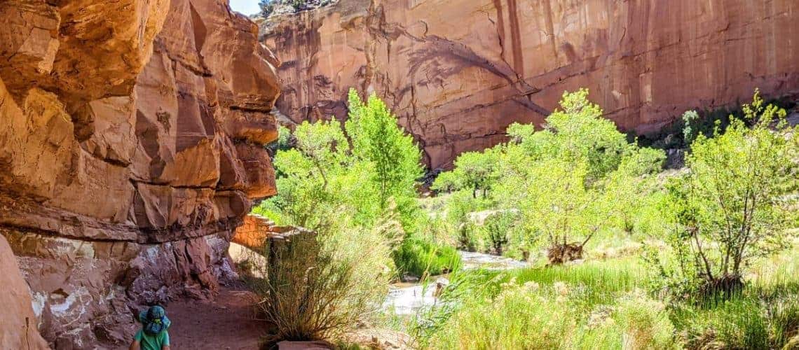 Hickman Bridge Trail, Capitol Reef National Park, June 2020