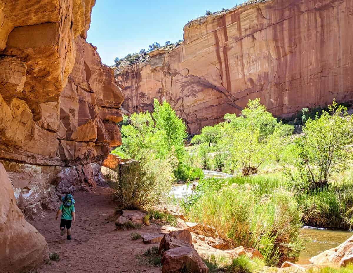 Exploring Capitol Reef National Park with • WILD MY CHILD