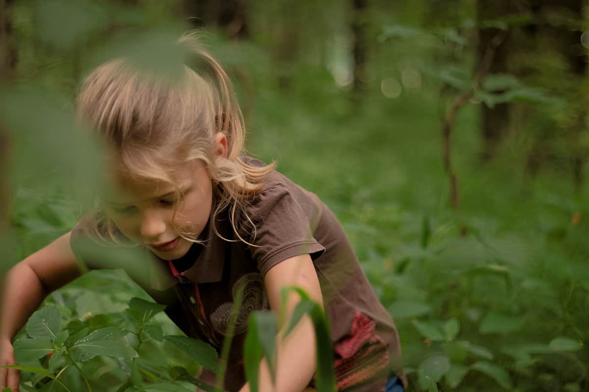 Kid safety tips for summer outside - ticks, mosquitoes and poison ivy