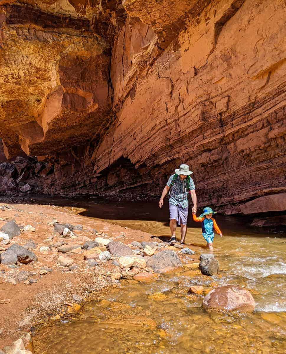 Kid-friendly hiking trails in Capitol Reef National Park