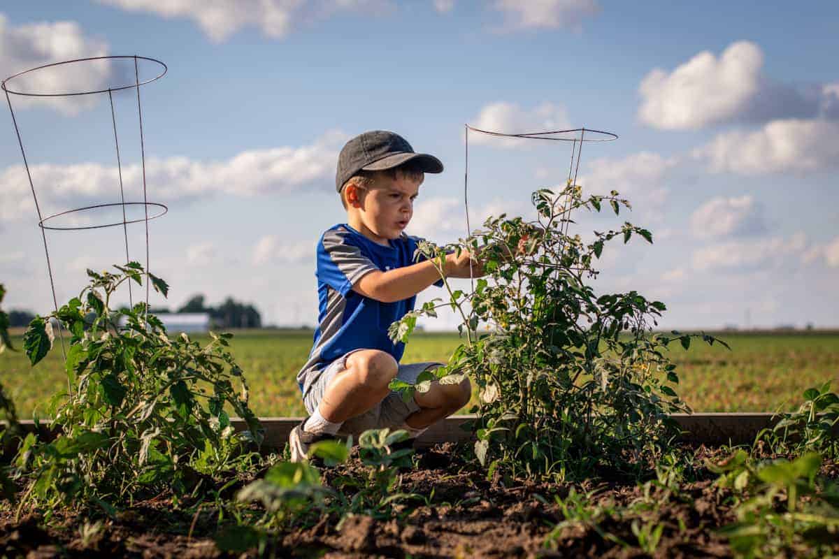 Exploring the outdoors with medically-complex children - backyard gardening