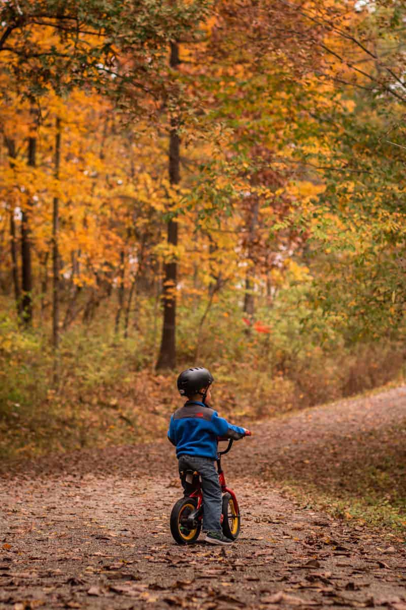 Child on red bike wearing helmet on an autumn leave covered trail