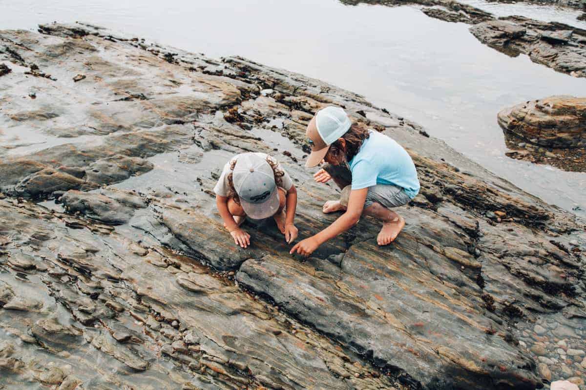 Tidepool adventures with kids - Central Coast California
