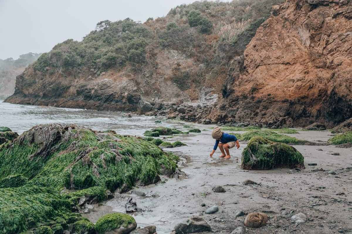 Best tidepools for kids in California