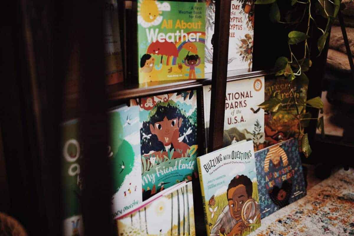 the importance of diversity in children's nature books