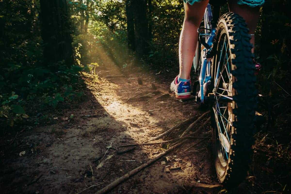 how to choose the right mountain bike for kids