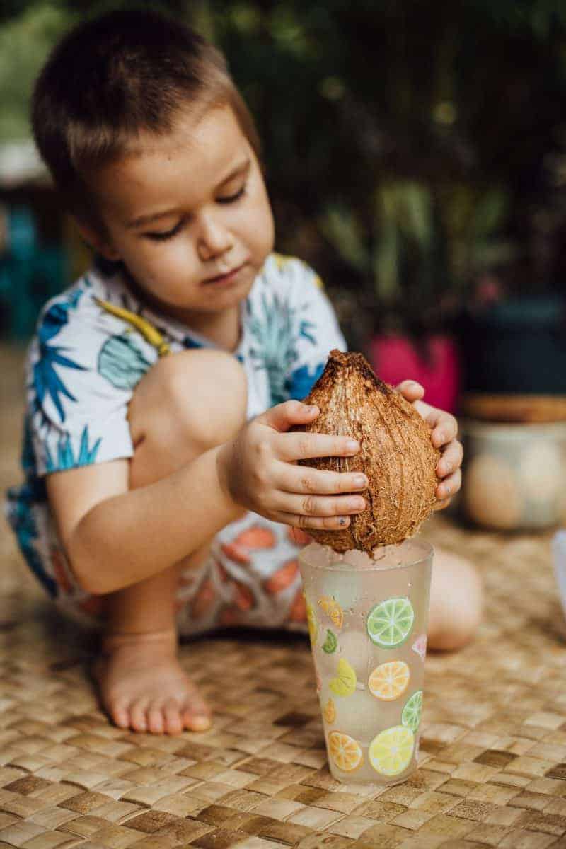 coconut water popsicles for kids