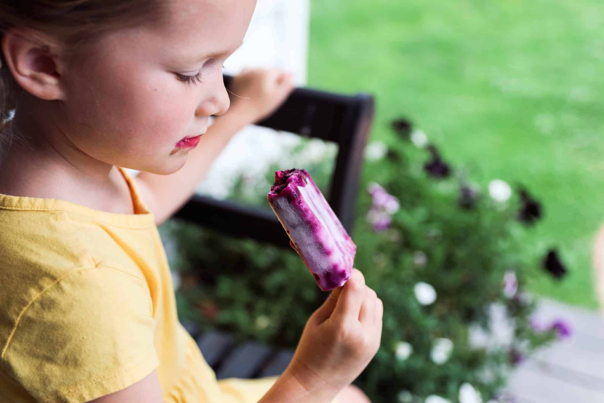 blueberry picking with kids