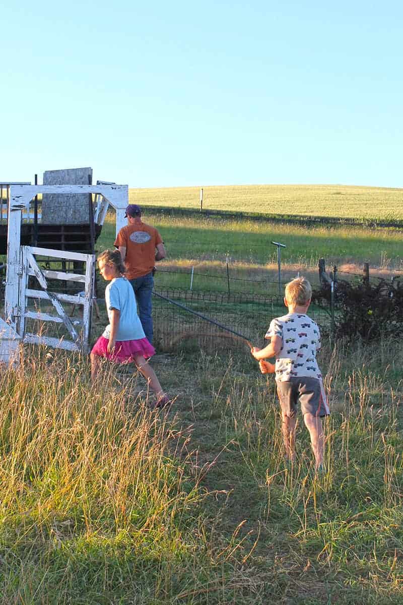 Getting kids to help out with chores around the house