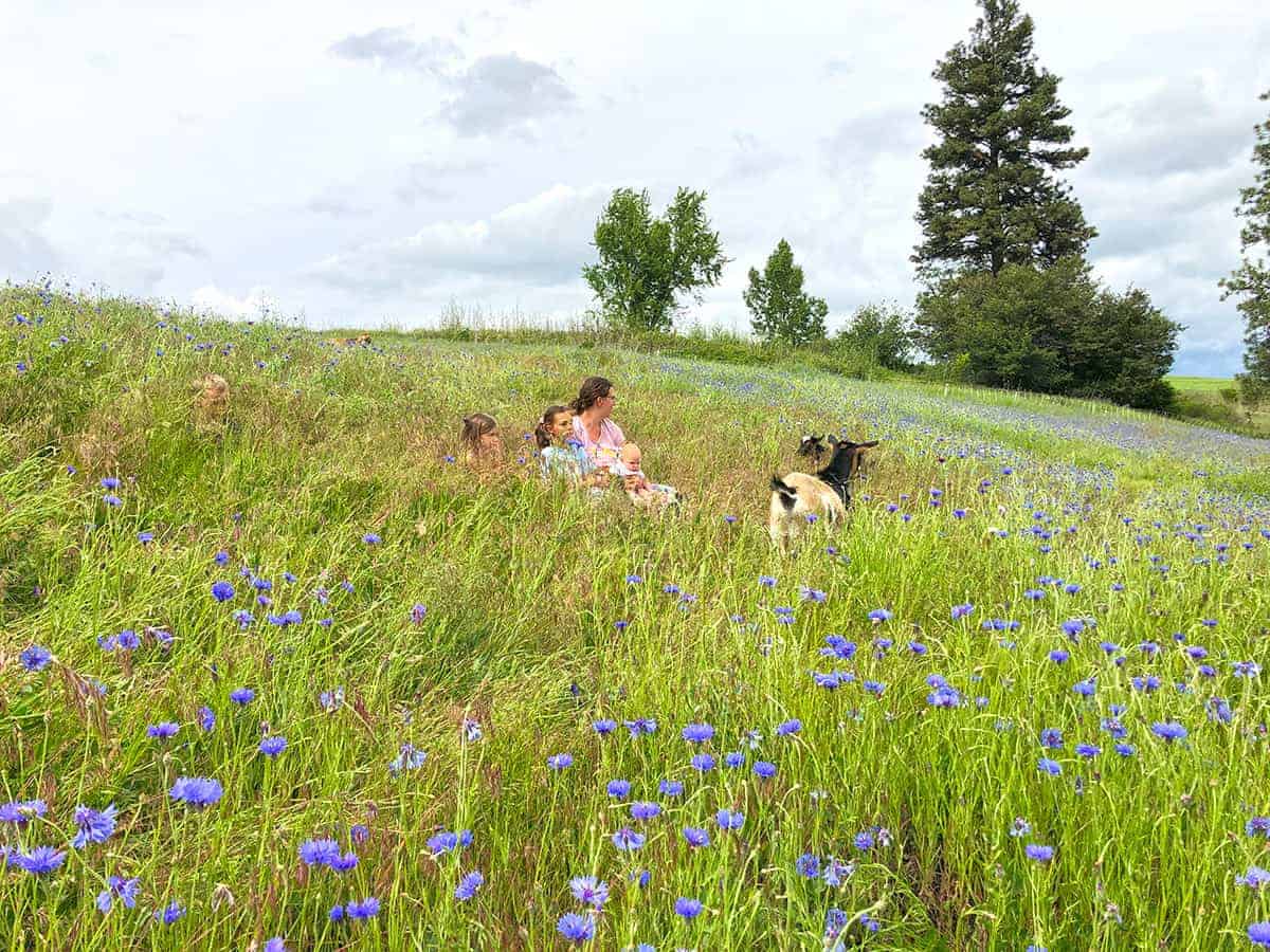 Chore ideas for kids on the farm