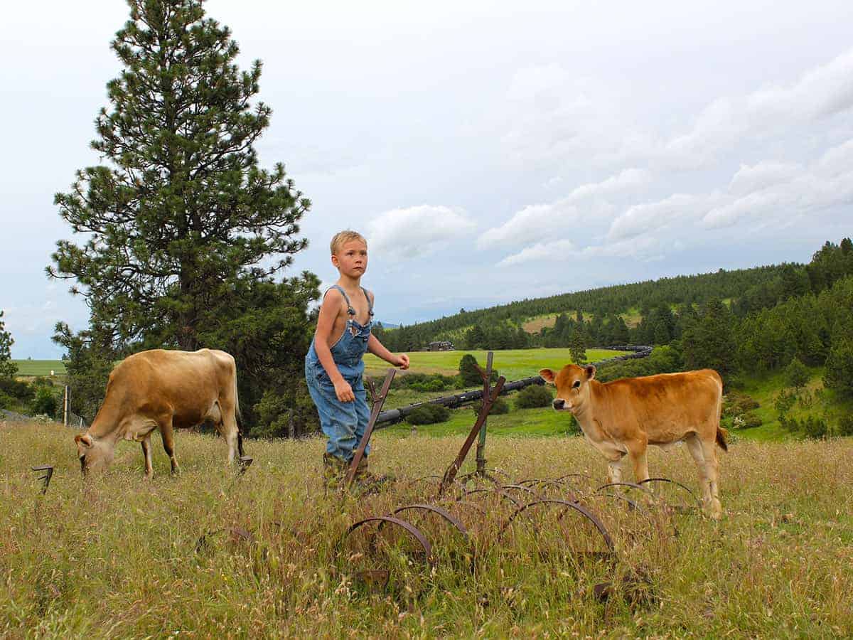 Tips for getting kids to help do chores