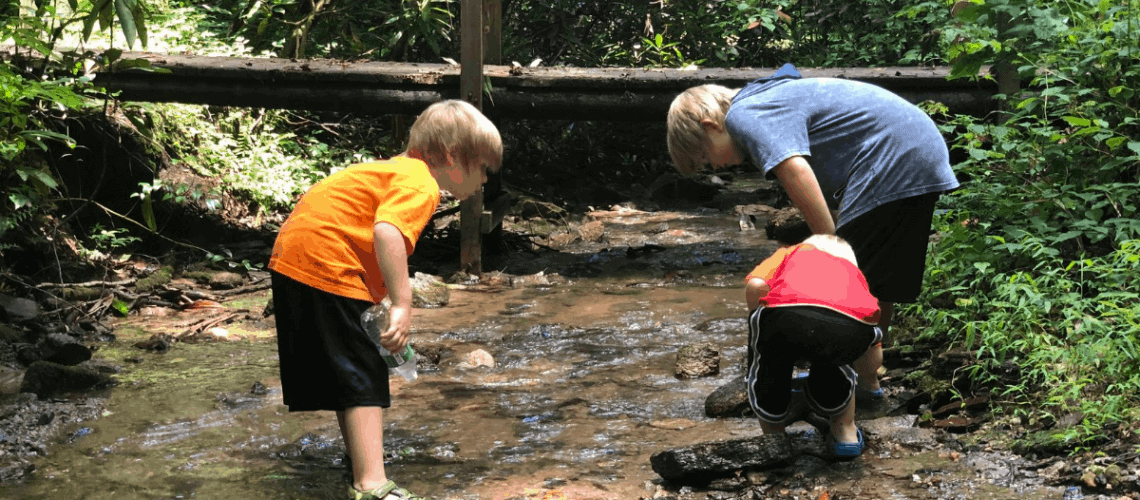 Making Summer last at the creek