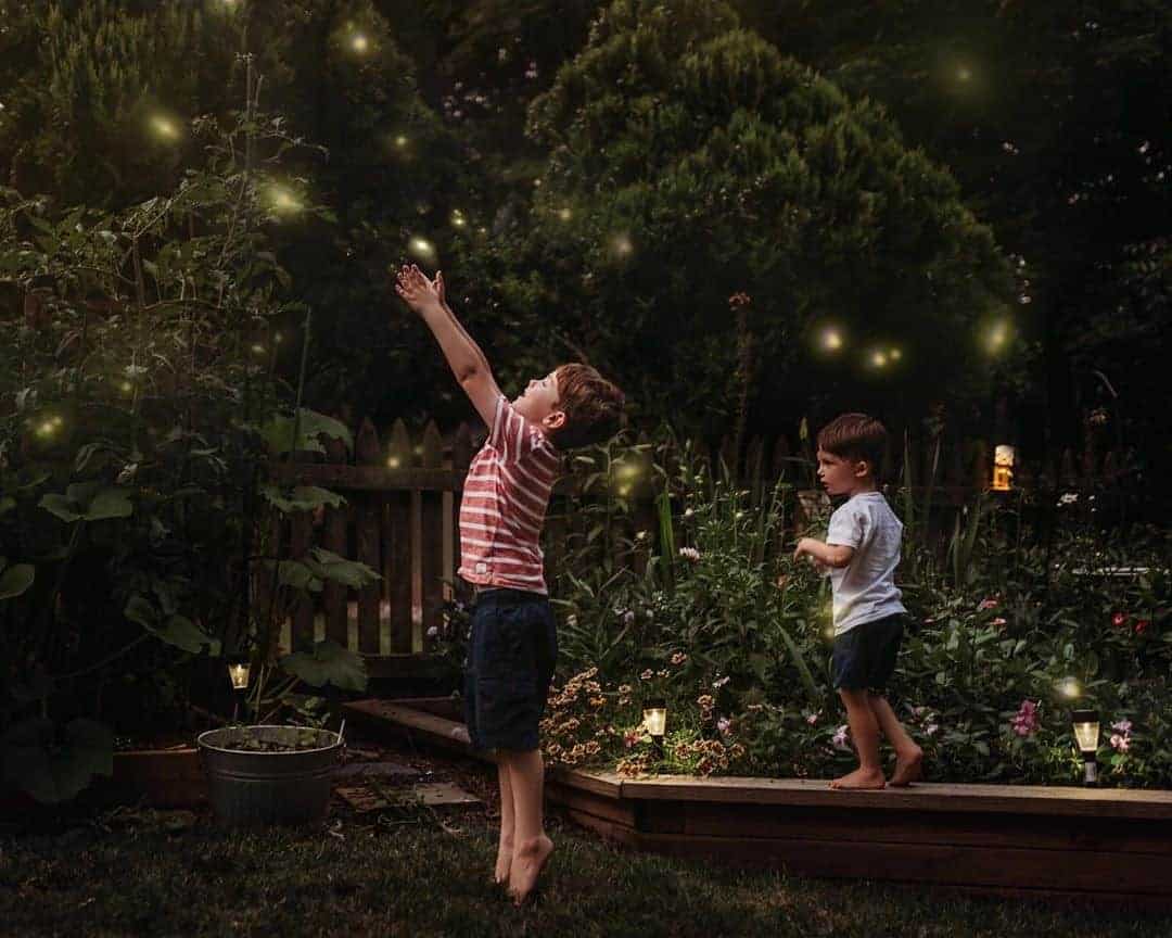 Catching Fireflies Photography