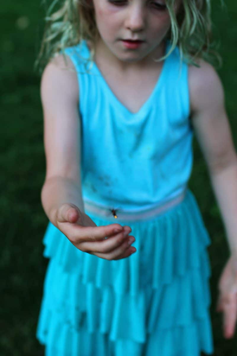 catching fireflies in the summer with kids