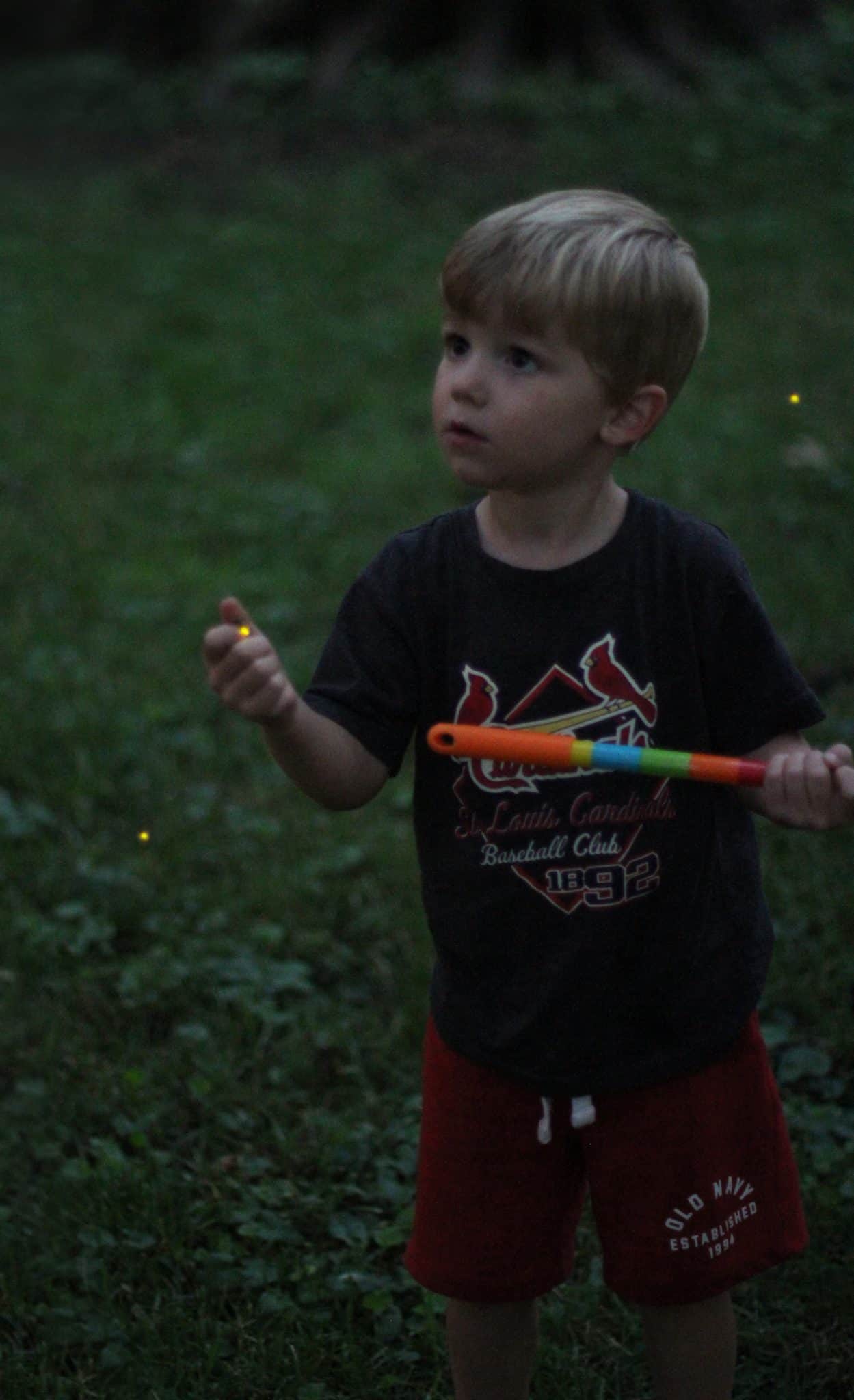 learning about fireflies with kids