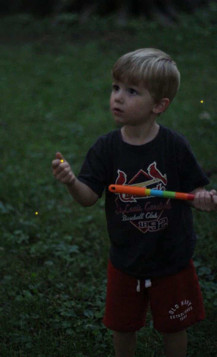 learning about fireflies with kids
