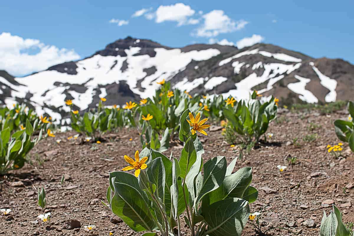 What to pack in your hiking first aid kit