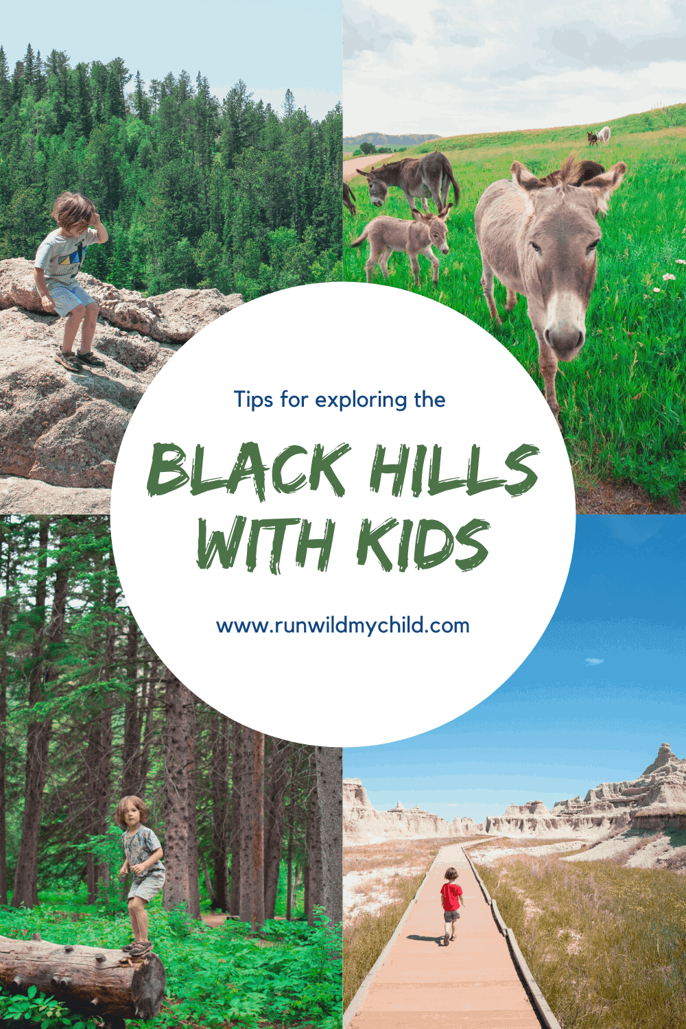 Tips for Exploring the Black Hills of South Dakota With Kids