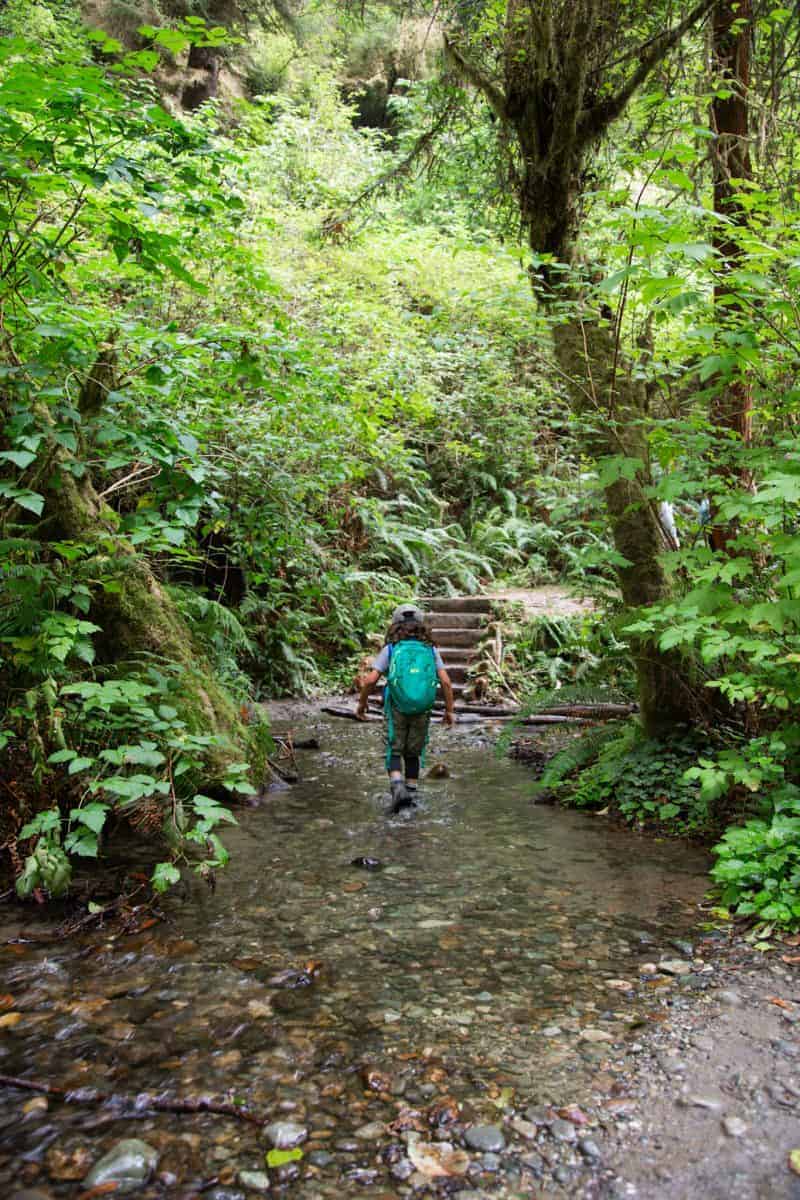 Kid Friendly Hikes in Redwood National Park