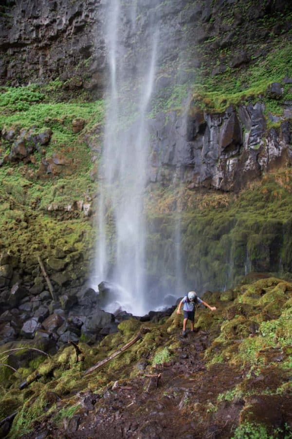 West Coast Road Trip: California to Oregon with Kids