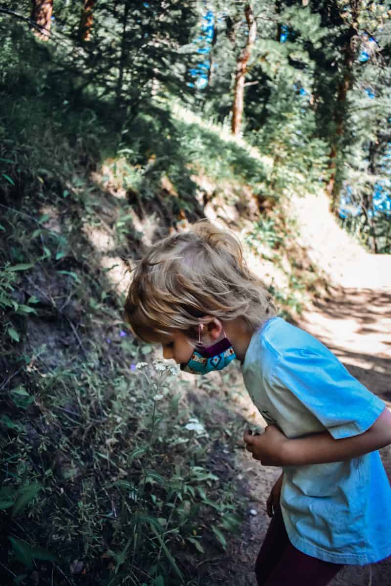 how to find wildflowers when hiking with kids