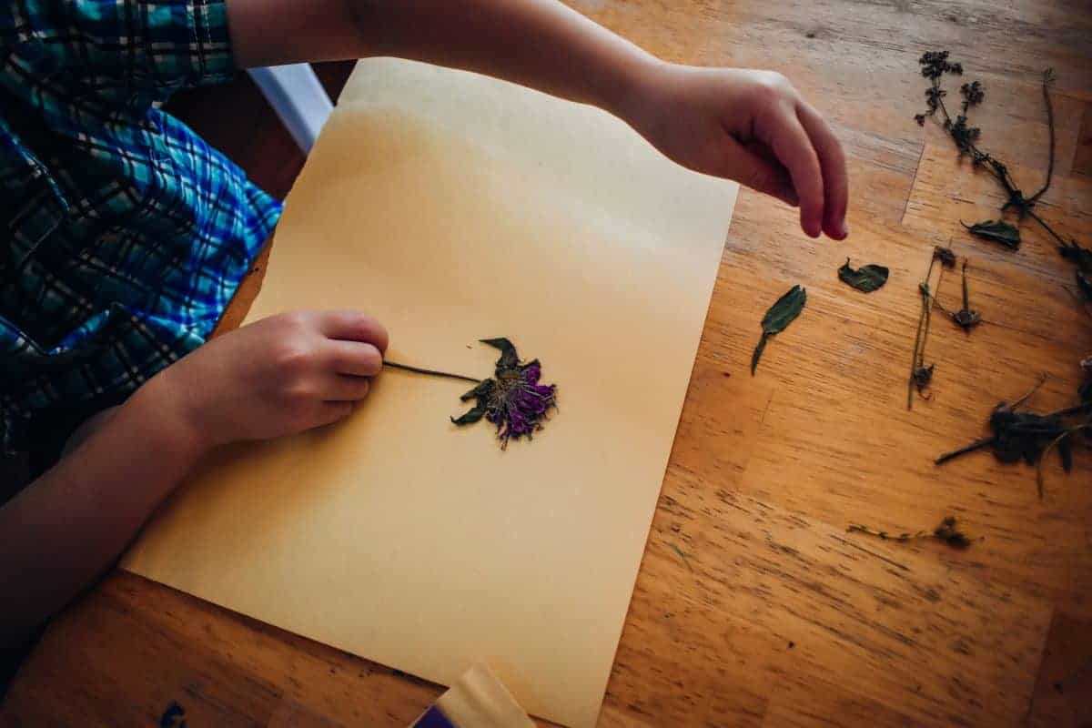 DIY wildflower bookmark