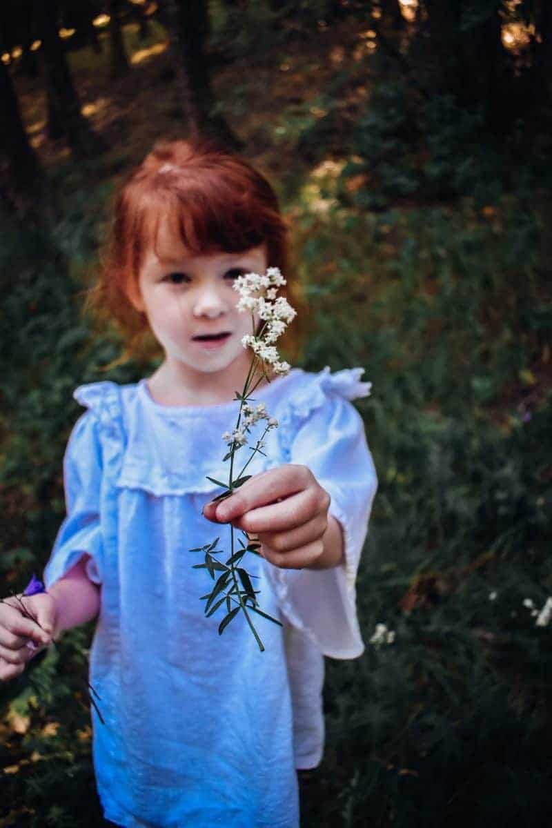 identifying wildflowers with kids