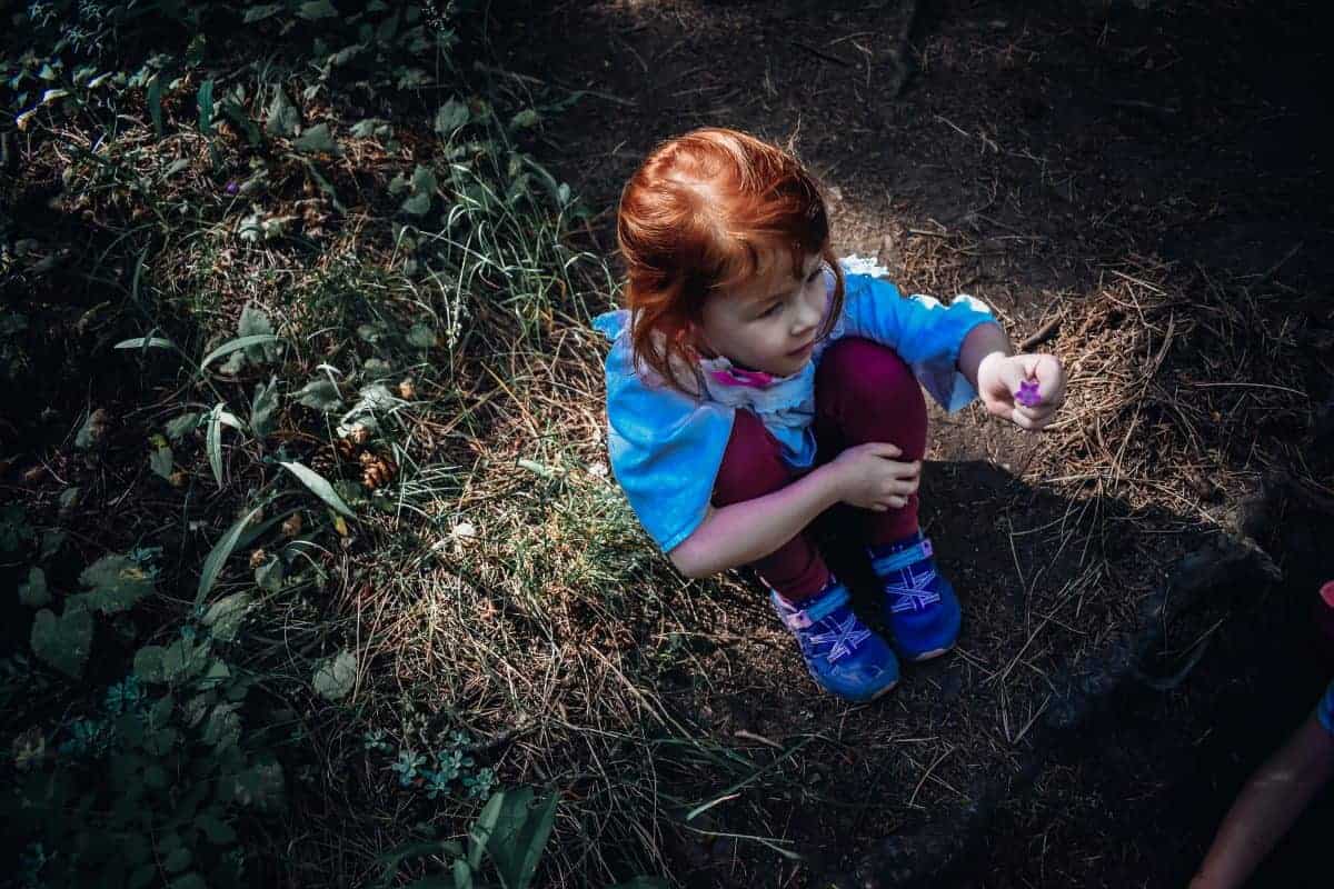 picking wildflowers on hikes with kids