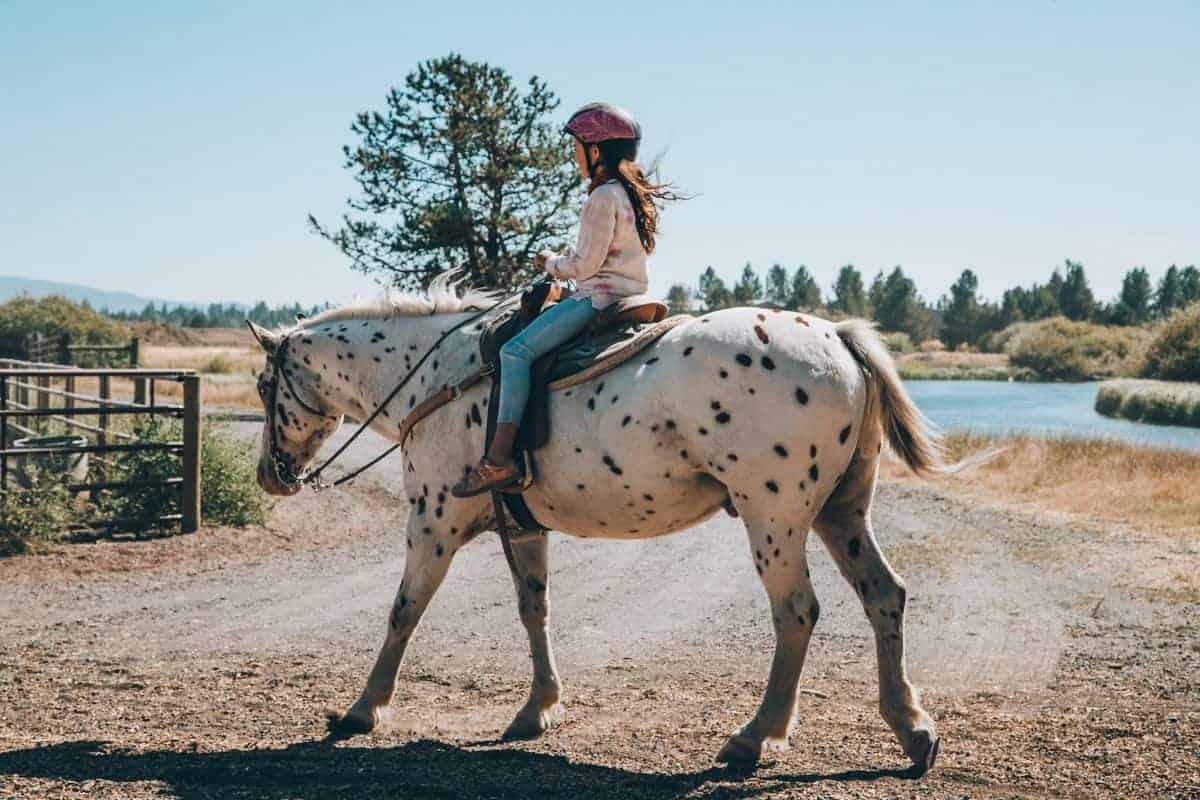 pony rides for kids - sunriver resort