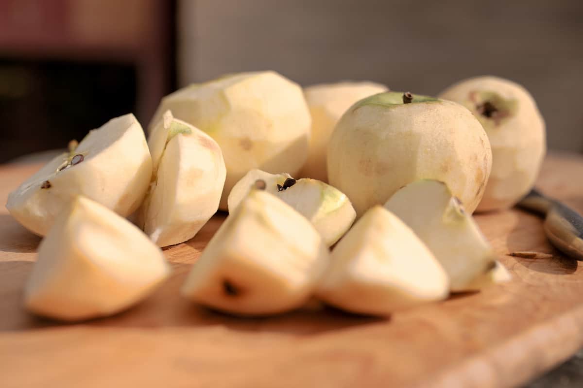 Apples for apple butter