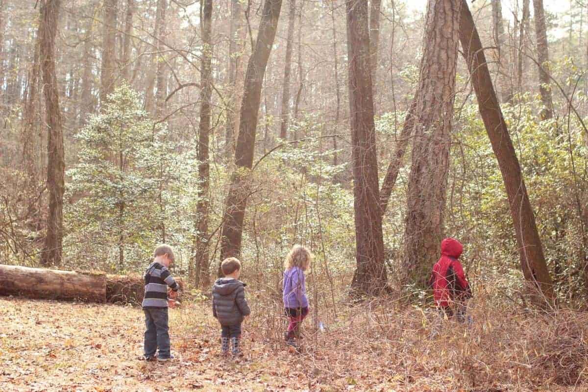 Forest group kids - A perfect forest rumpous