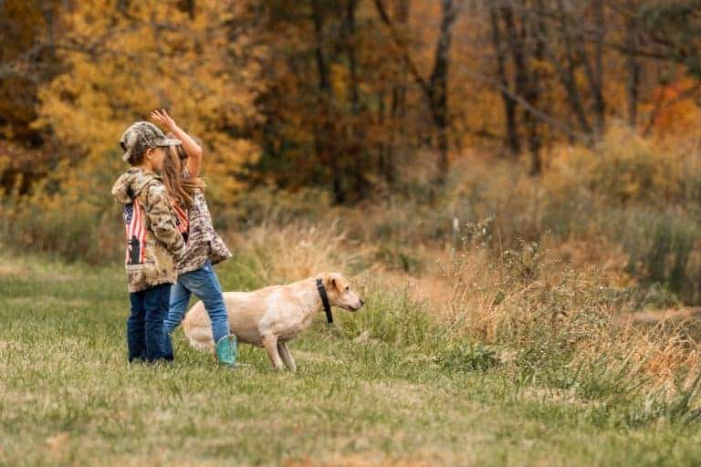 Dog Training Tips for Children • RUN WILD MY CHILD