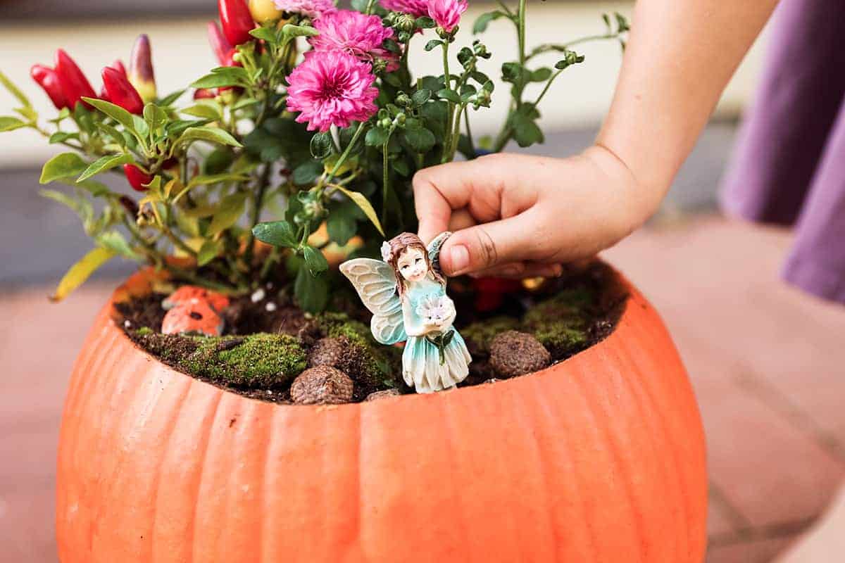 fall fairy garden made from pumpkins