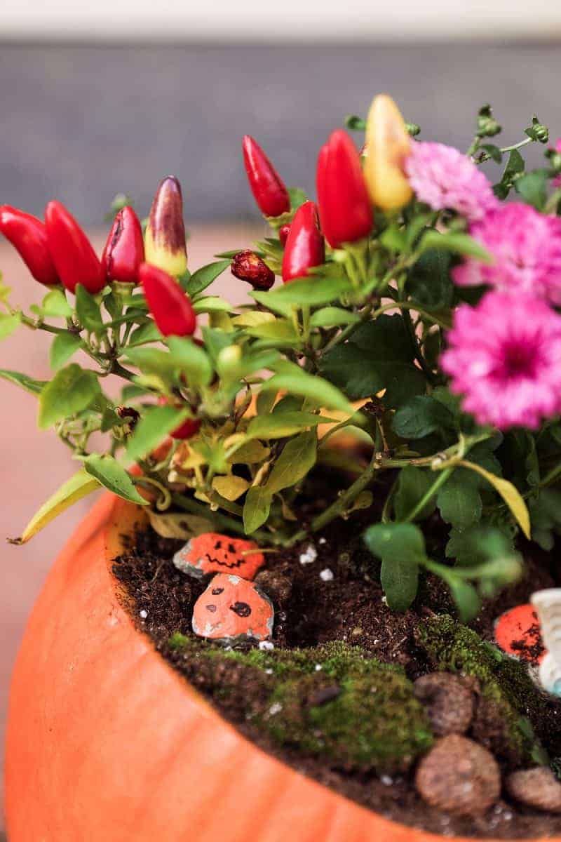 how to make an decorate a fall fairy garden with kids