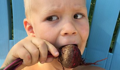 Teaching kids where their food comes from - eating beets