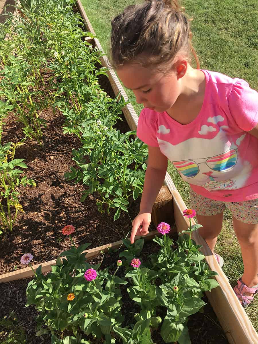 Teaching kids where their food comes from - growing flowers