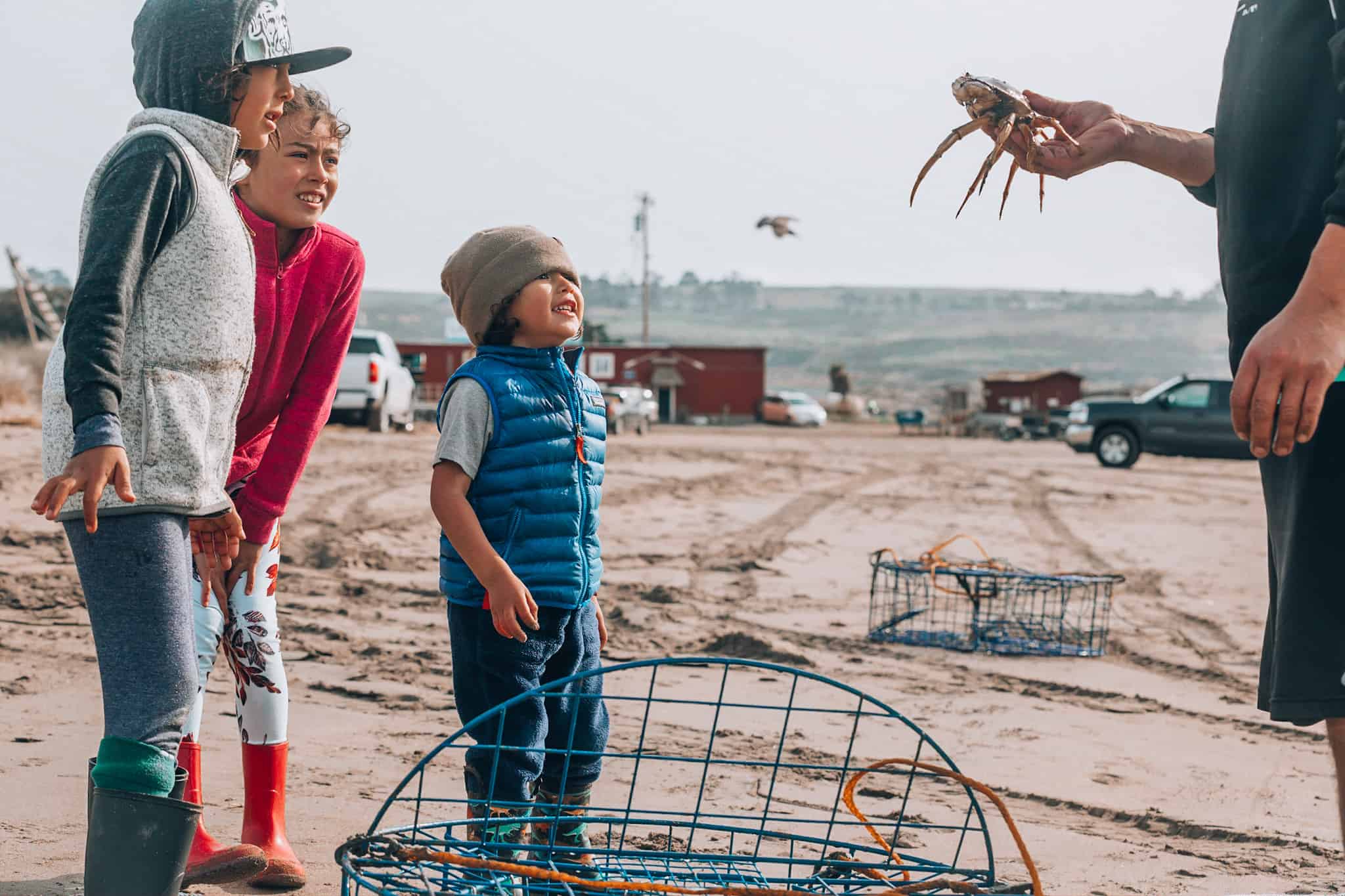 Crabbing with kids using crab pots