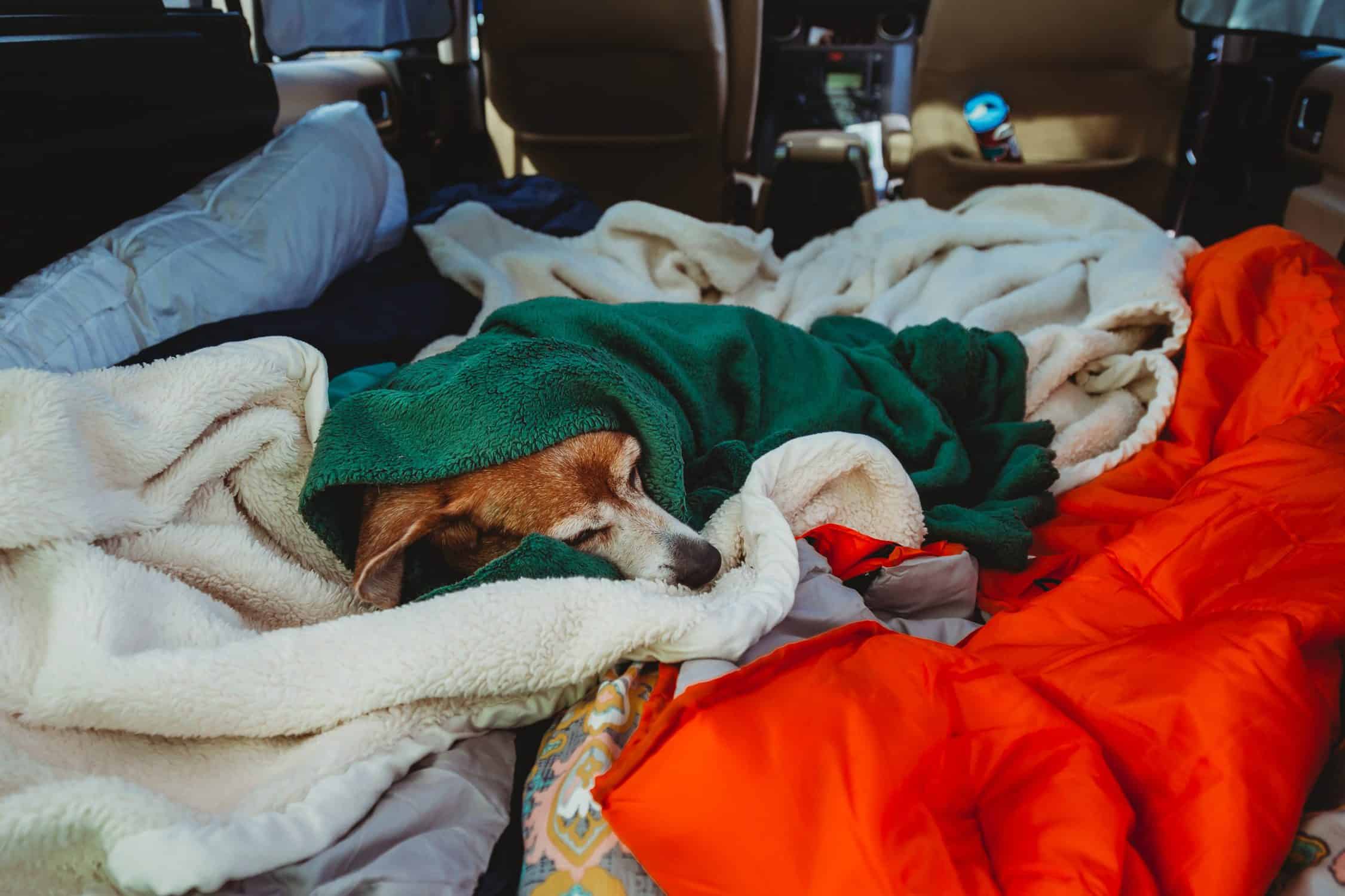 Winter car camping with kids sleeping setup