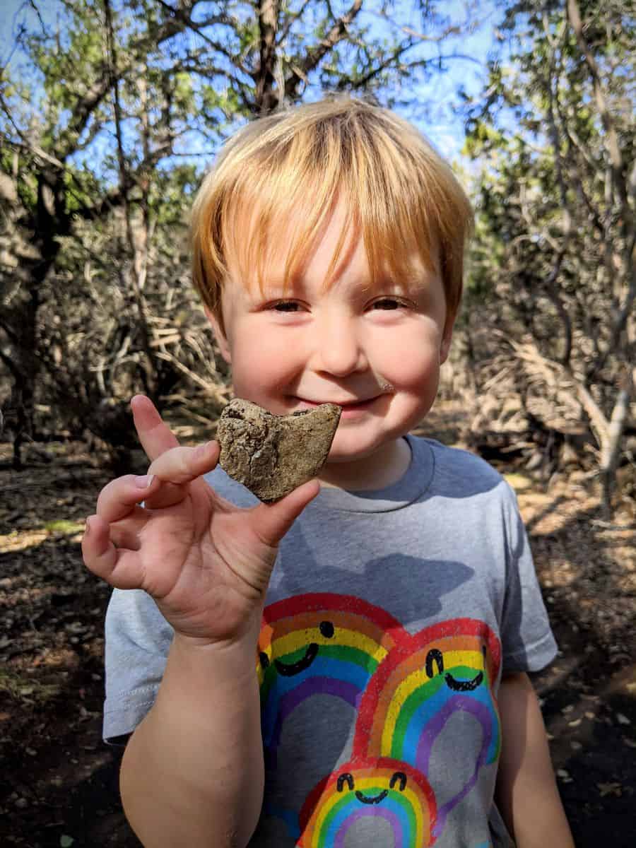 nature heart hunt with kids - Valentine's Day Activities