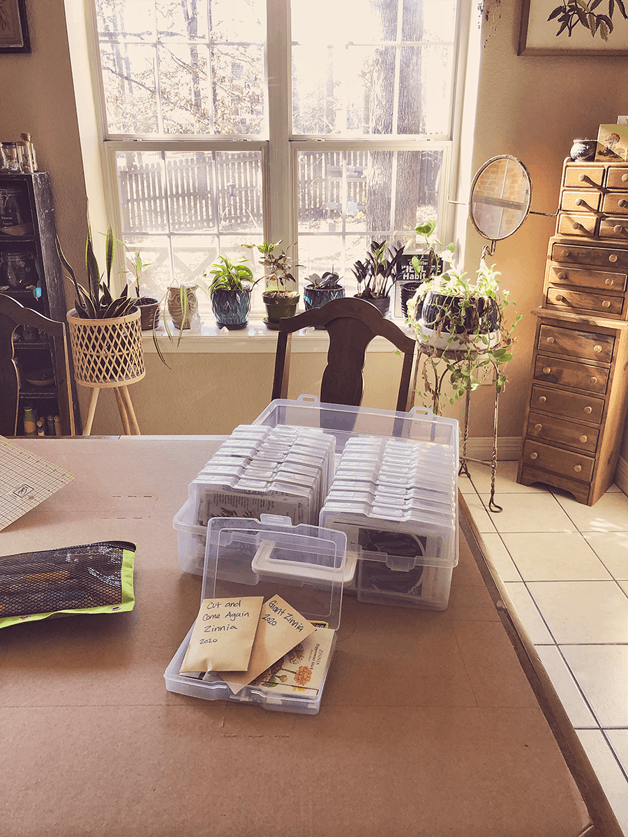 winter garden planning with kids seed organizing and storage solutions