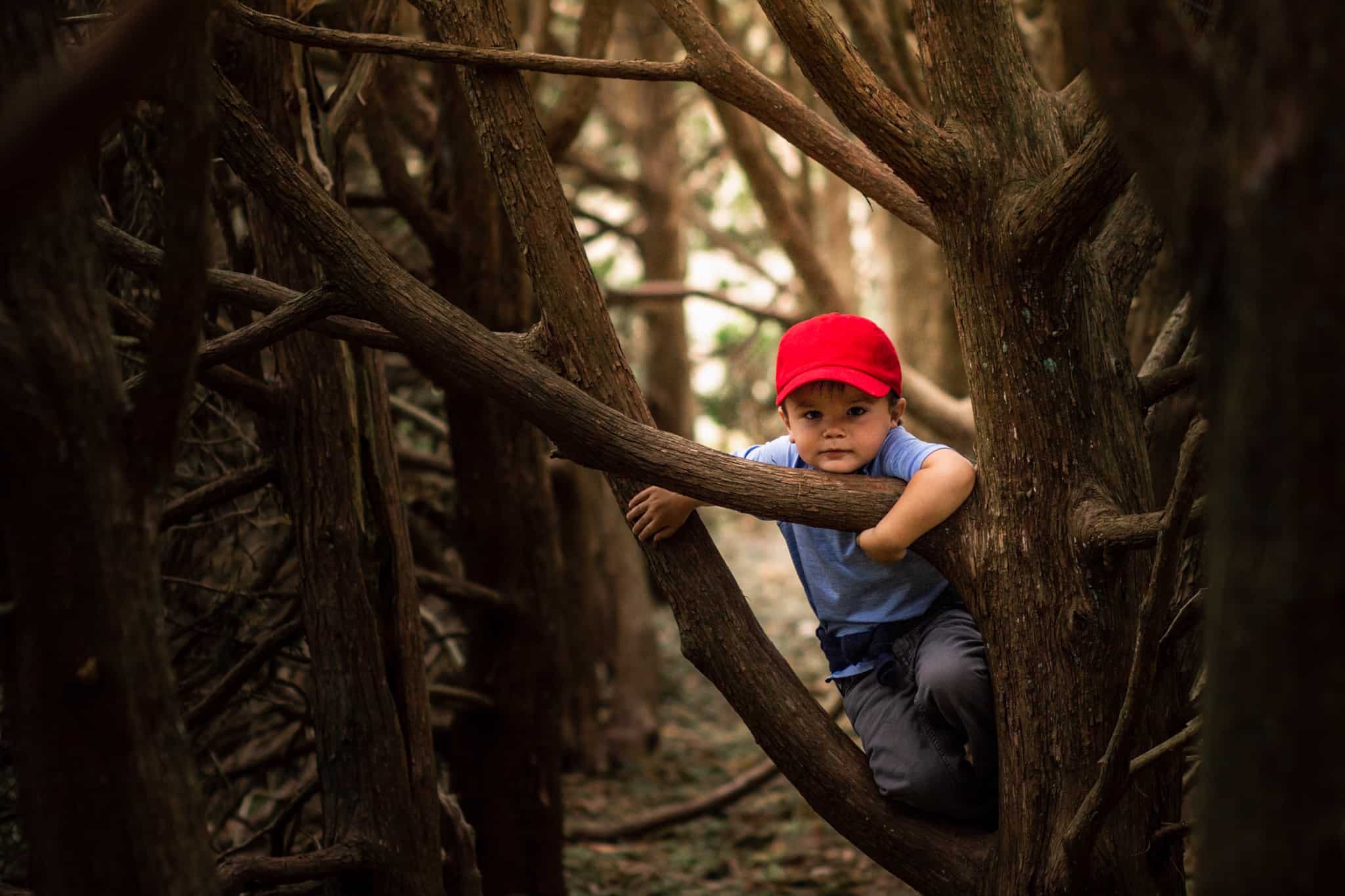 Boy in red hat among the arborvitae 