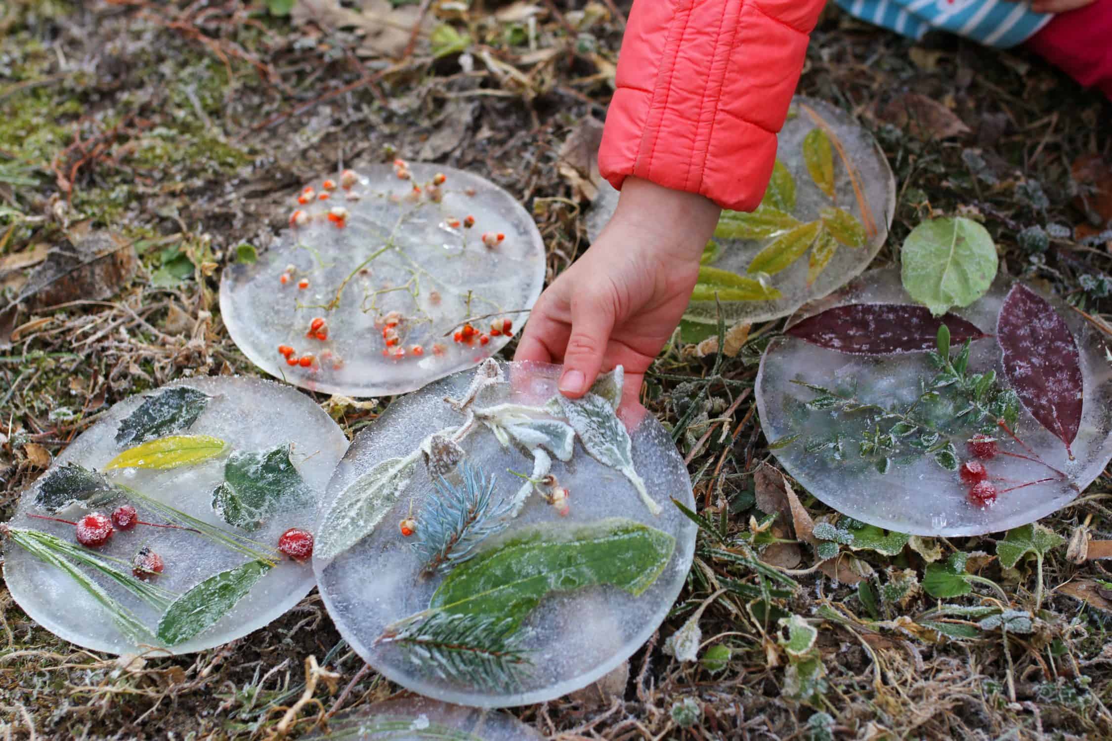 make your own frozen ice suncatchers