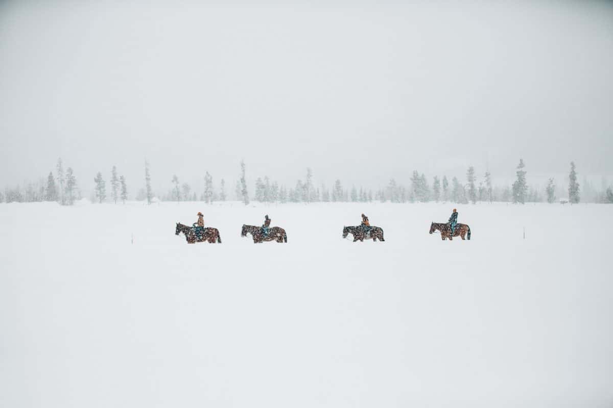 Winter horseback riding - Vista Verde, Steamboat Colorado